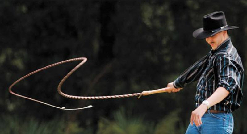 Whipcracking Bullwhip Squadron